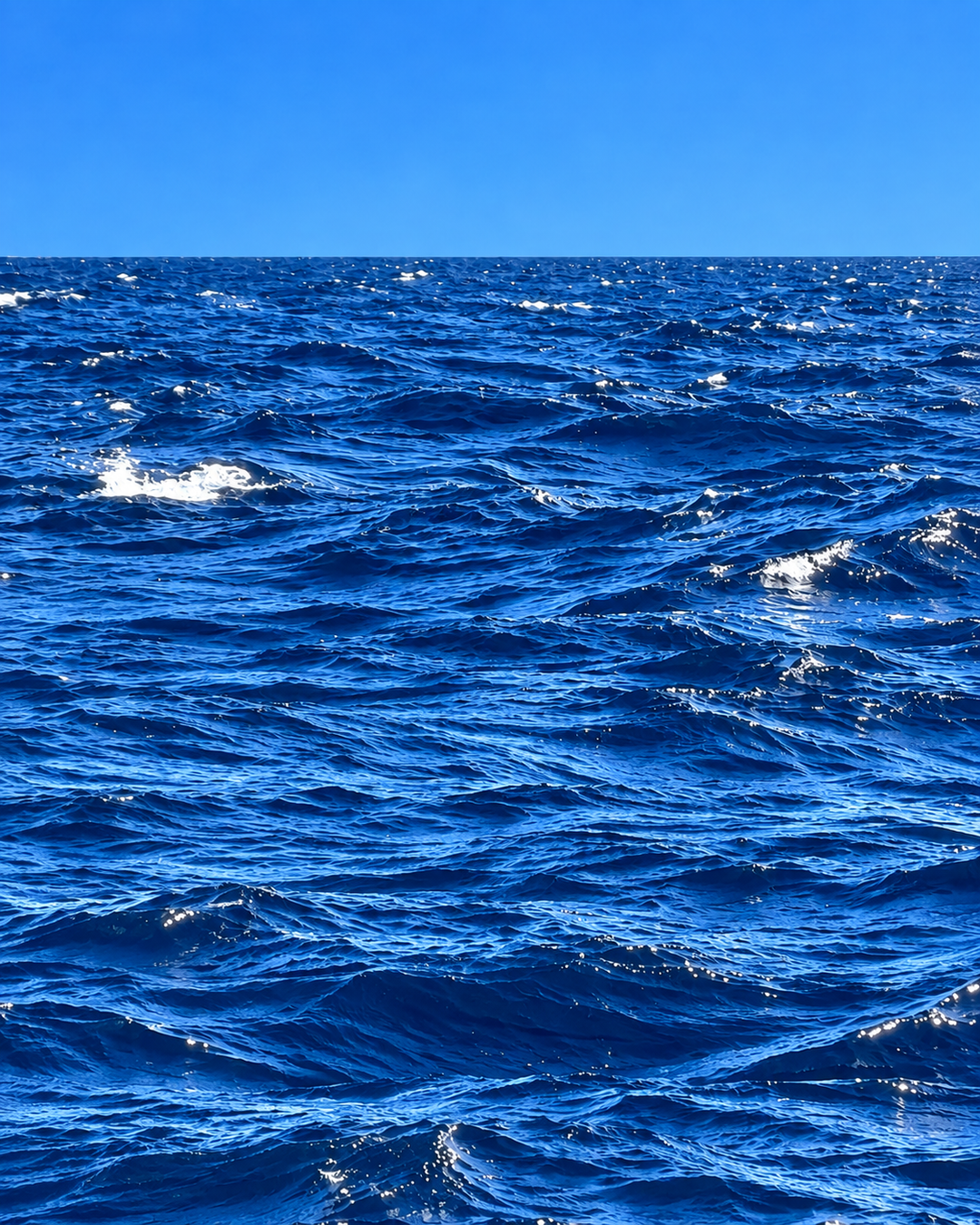 Deep blue open sea, the oceanic note in New Wave eau de parfum